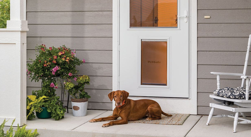 Pet Storm Doors