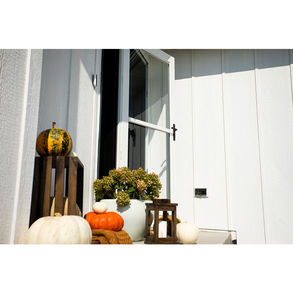 Platinum Retractable Screen Storm Door with Tempered Glass