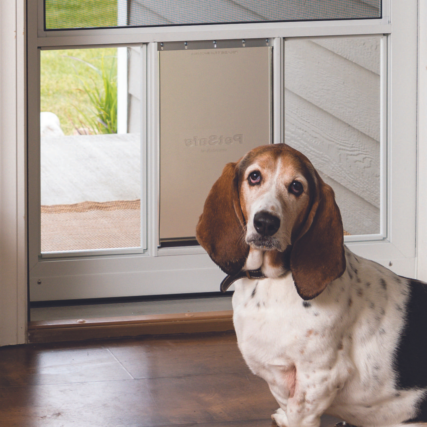 Premier Pet View Door