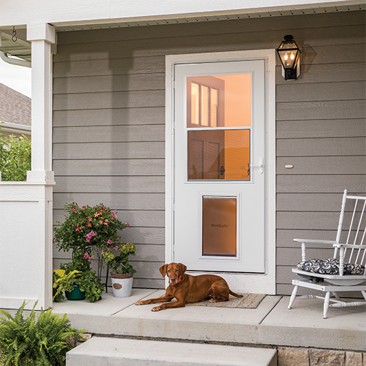 XL Built-in Pet Door