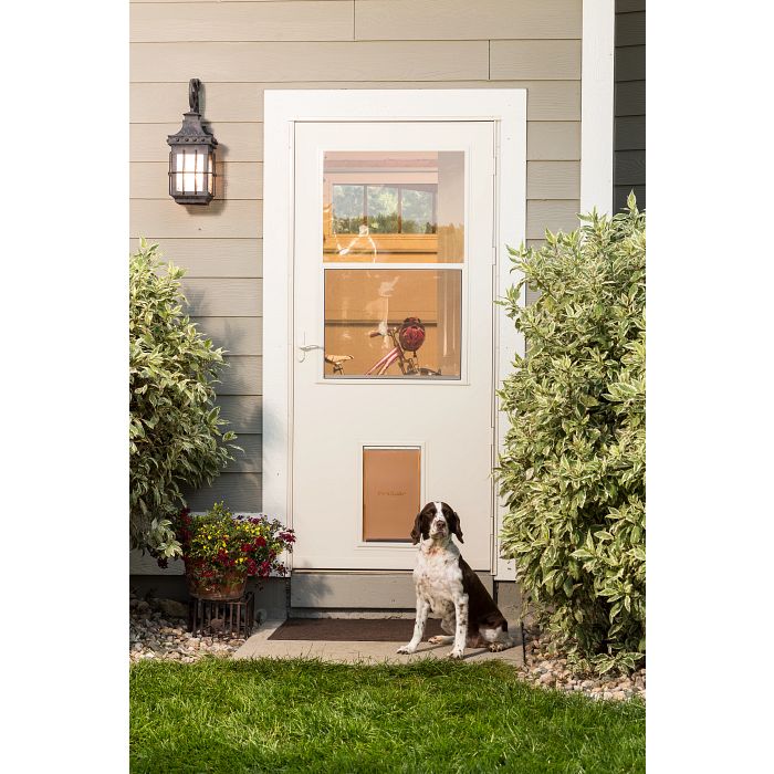 Large Built-in Pet Door